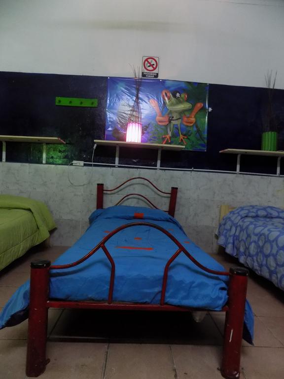 Hospedaje La Rana บัวโนสไอเรส ภายนอก รูปภาพ